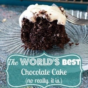 World's Best Chocolate Cake