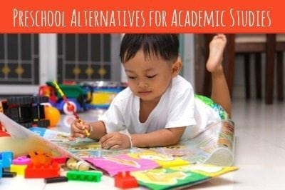 Are you worried that your child won't learn what he needs to if he doesn't go to preschool? Here are preschool alternatives that will still have him learning plenty!