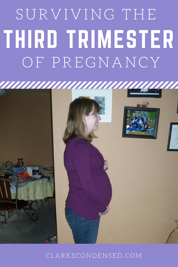 Pregnancy Third Trimester