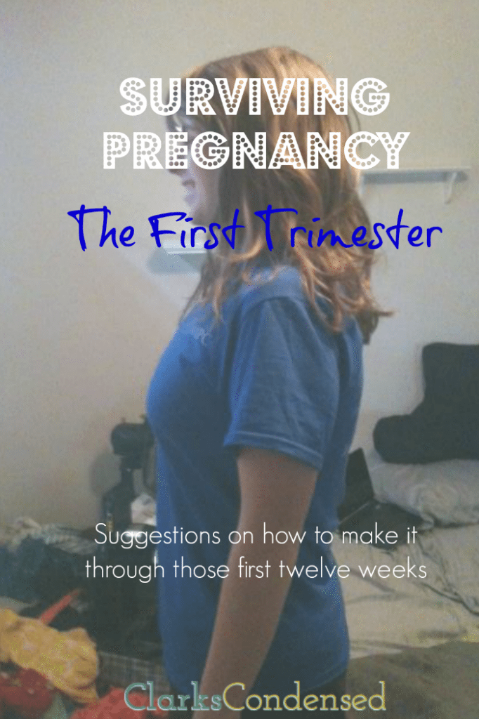 Surviving Pregnancy: The First Trimester Suggestions on how to make it through those first twelve weeks