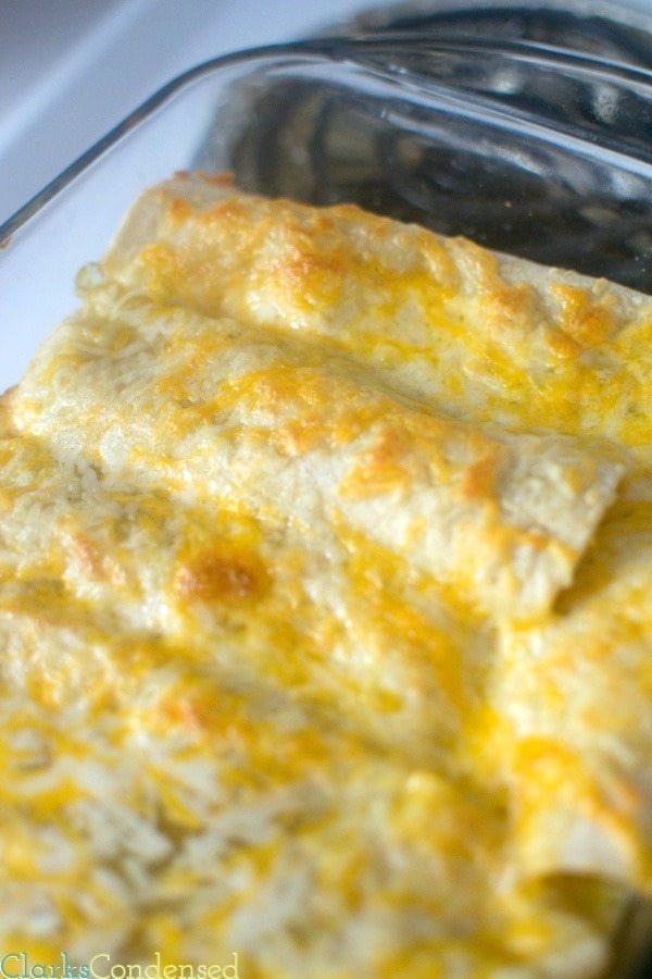 Green Chile Enchiladas