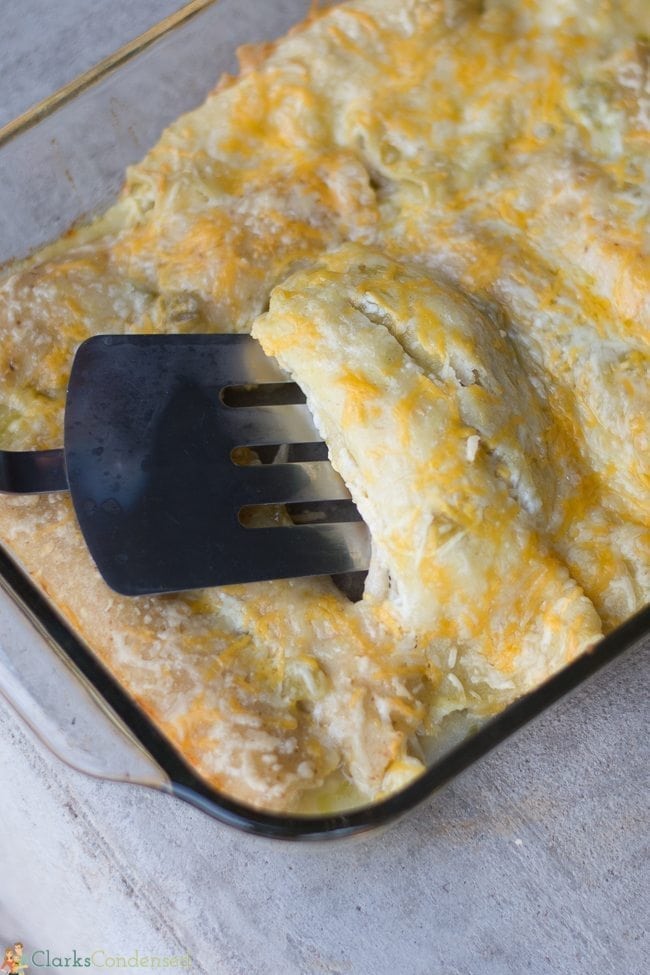green chile chicken enchiladas with cream cheese