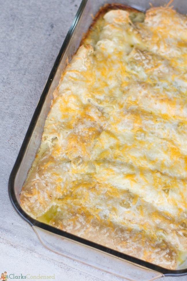 easy green chile chicken enchiladas