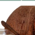 Permalink to: Is Coconut Oil Worth the Hype?