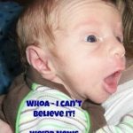 Permalink to: Forrest Friday: Weird News In The World Today