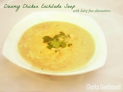 Creamy Chicken Enchilada Soup Creamy Chicken Enchilada Soup