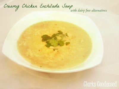 Creamy Chicken Enchilada Soup