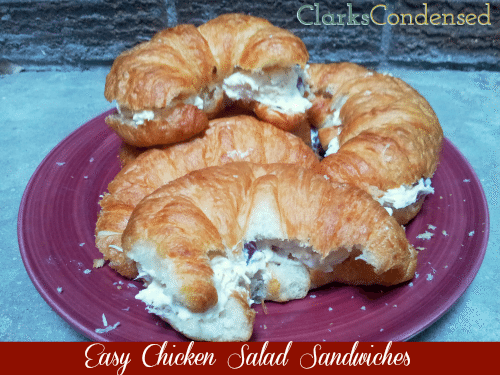 Easy Chicken Salad Sandwiches made with grapes, cashews, and parmesan cheese. #roadtrip #chicken #sandwich