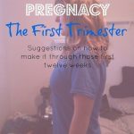 Permalink to: Surviving Pregnancy: The First Trimester