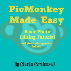 Basic Photo editing with PicMonkey