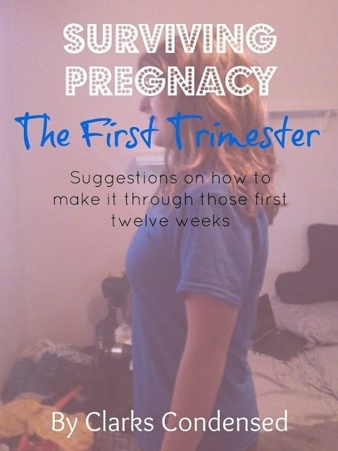 Surviving Pregnancy: The First Trimester by Clarks Condensed