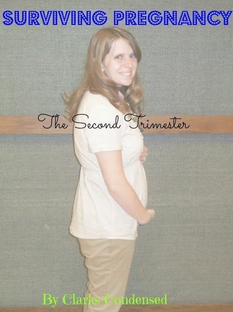 Surviving the Second Trimester of Pregnancy
