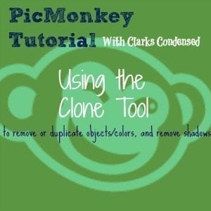 PicMonkey Clone Tool Tutorial