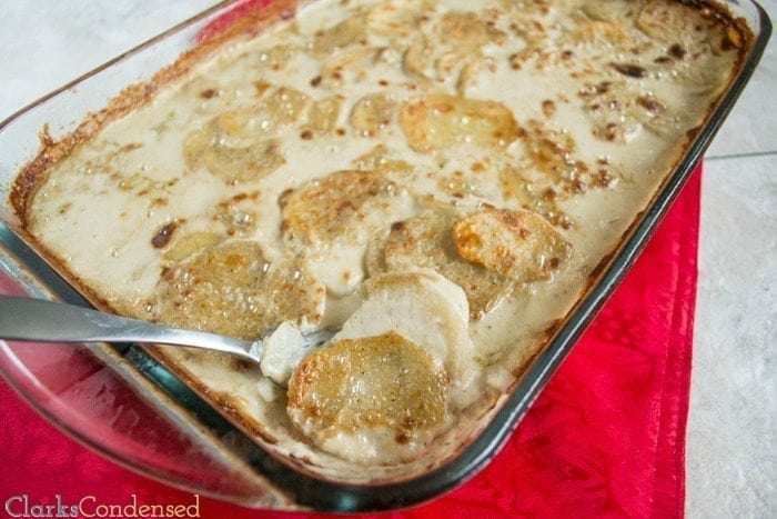 Potato and Cauliflower Gratin