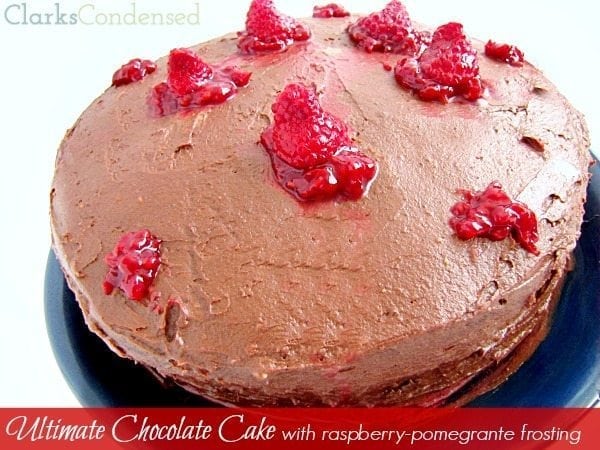 Ultimate Chocolate Cake with Raspberry-Pomegranate Frosting by Clarks Condensed