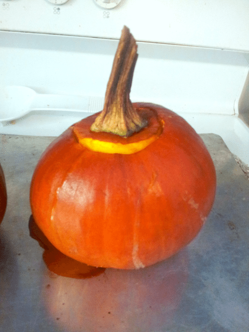 Dinner in a pumpkin - made with sausage, quinoa, balsamic vinegar, mushrooms, and more! The perfect fall dinner.