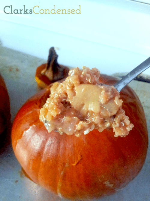 Dinner in a pumpkin - made with sausage, quinoa, balsamic vinegar, mushrooms, and more! The perfect fall dinner.