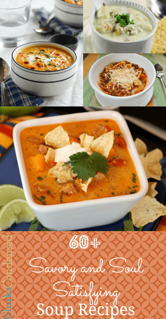 60+ Savory and Soul Satisfying Soup Recipes by Clarks Condensed 60+ Savory and Soul Satisfying Soup Recipes by Clarks Condensed
