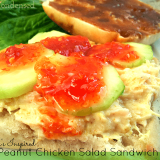 Thai Peanut Chicken Salad Sandwich