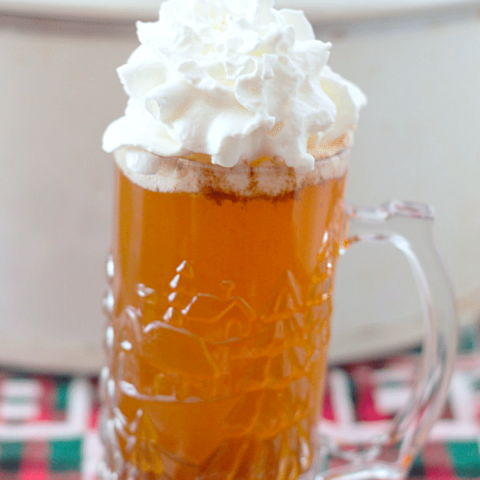 Crock Pot Starbucks Caramel Apple Cider