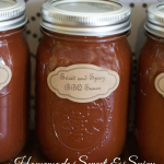Permalink to: Sweet and Spicy Barbecue Sauce and 15 Spice Dry Rub