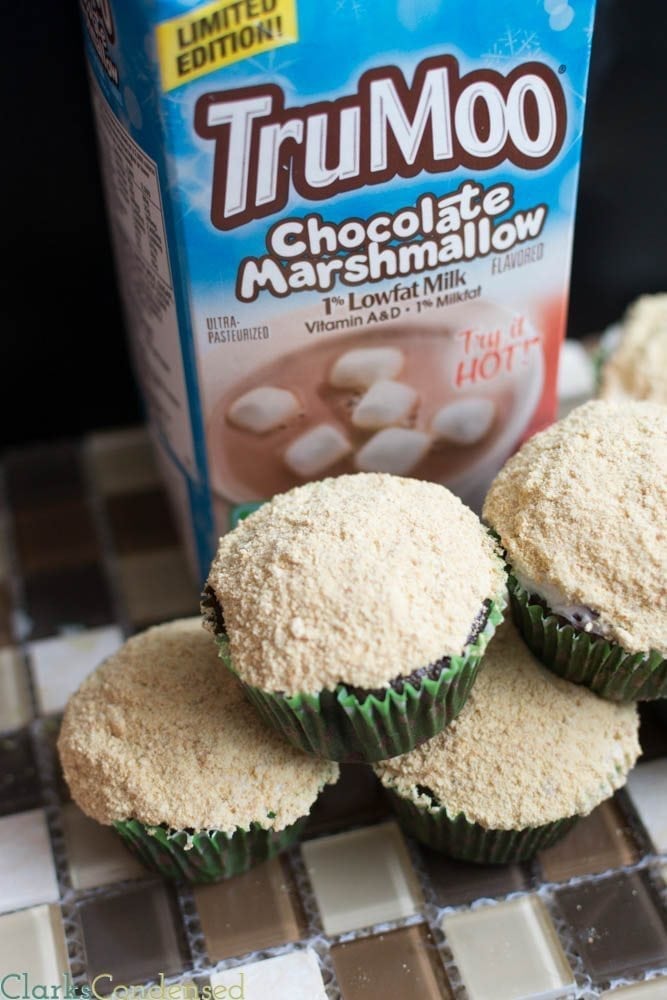 S'mores cupcakes with Whipped chocolate milk frosting and a graham cracker topping