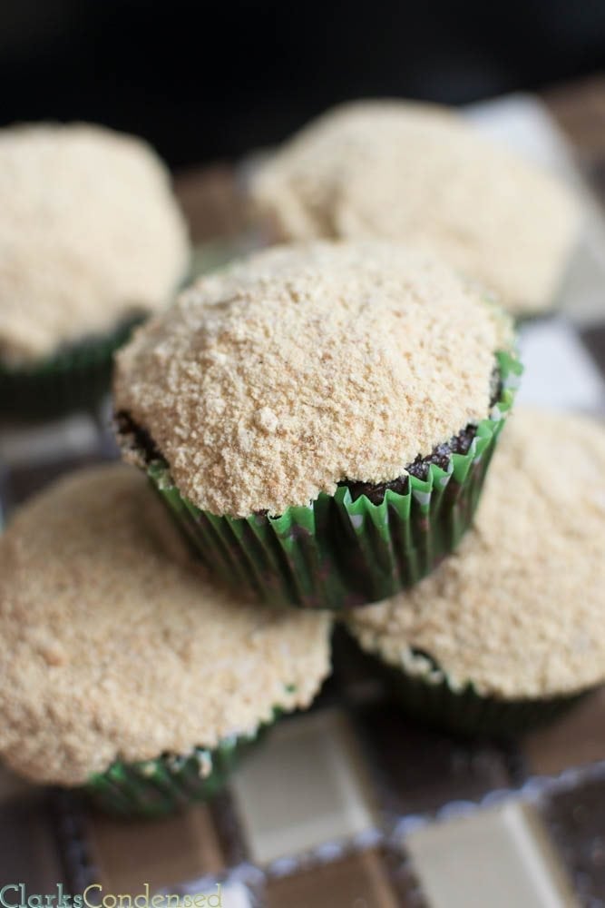 S'mores cupcakes with Whipped chocolate milk frosting and a graham cracker topping