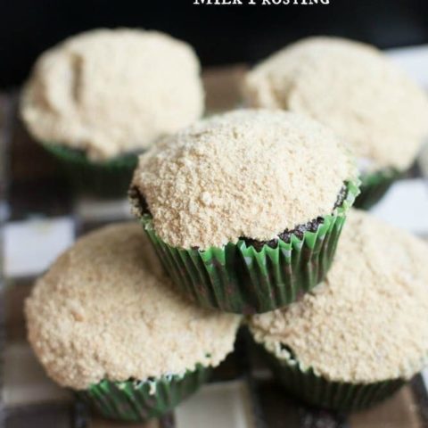 S’mores Cupcakes with Whipped Chocolate Milk Frosting