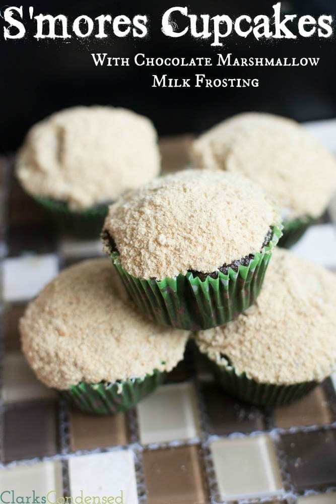 S'mores Cupcakes with whipped chocolate marshmallow milk frosting