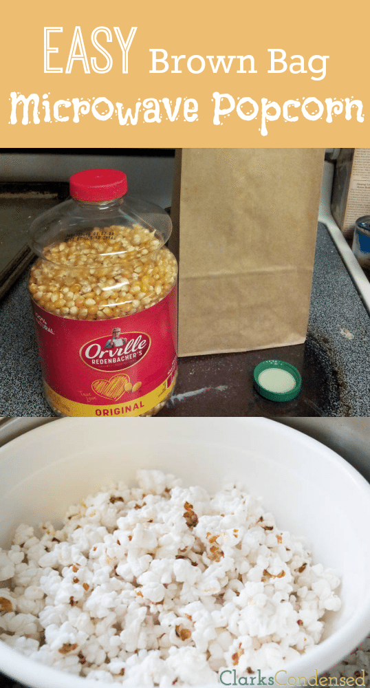 Brown Bag Popcorn is a much tastier and healthier alternative to store bought microwave popcorn. Perfect when topped with coconut oil, butter, or parmesan cheese!