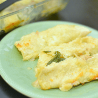 Creamy and Healthy Chicken Enchiladas {{lactose free options}}