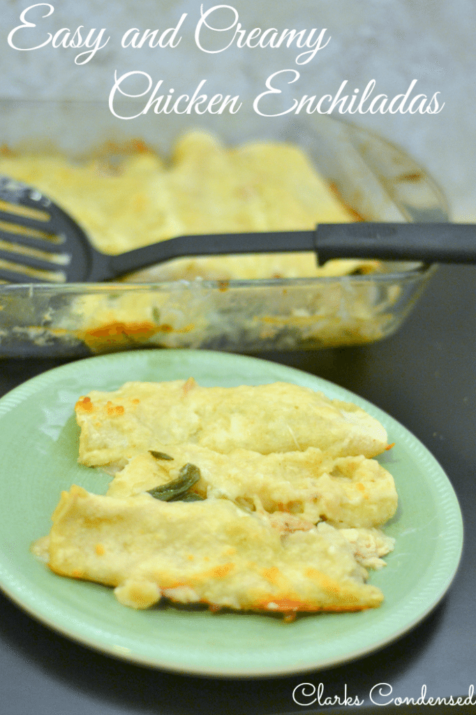 Creamy AND healthy chicken enchiladas filled with rotissiere chicken, mozzarella, spinach, and more! (can be made lactose free)