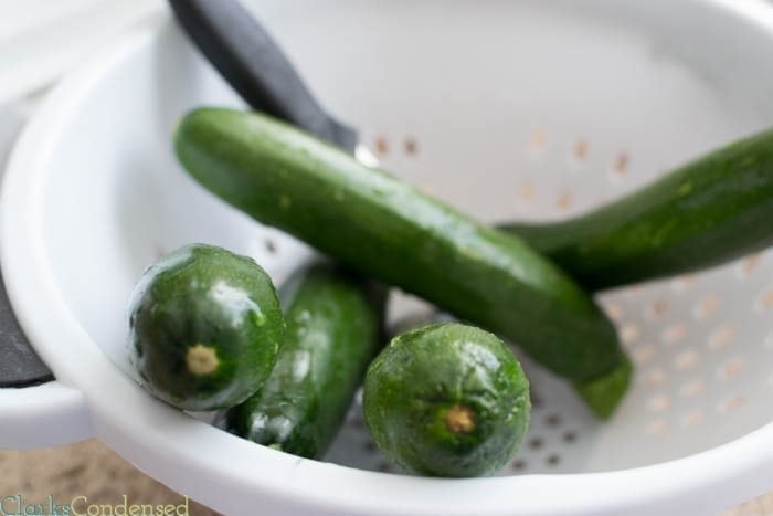 How to make zucchini pasta with a vegetable spiral cutter