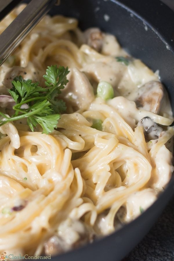 better-for-you-alfredo (1 of 4)