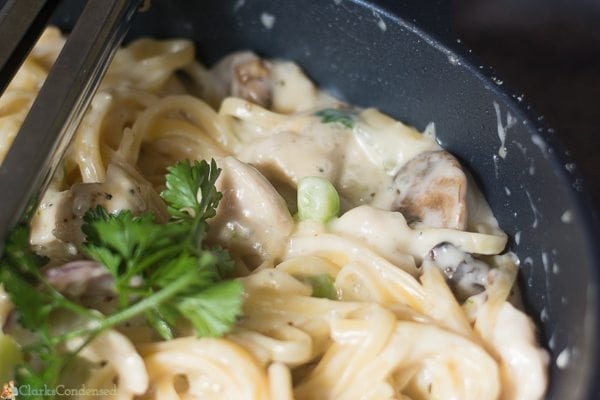 better-for-you-alfredo (2 of 4)