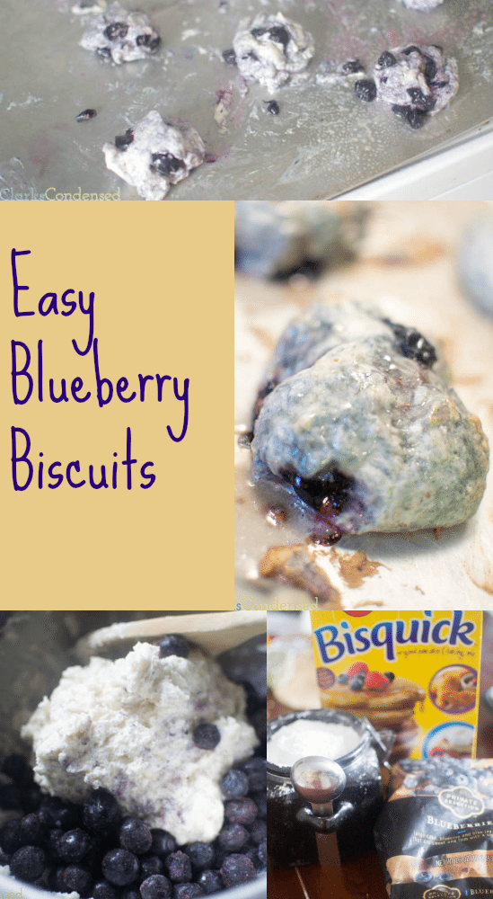 blueberry-biscuit-picture