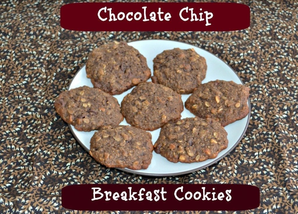 Chocolate chip breakfast cookies