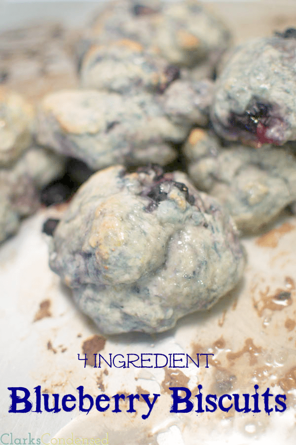 4 ingredient, easy blueberry biscuits by Clarks Condensed