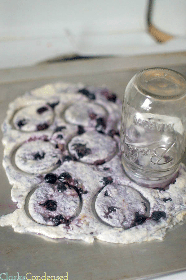 4 ingredient, easy blueberry biscuits by Clarks Condensed