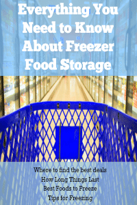 Everything You Need to Know About Freezer Food Storage