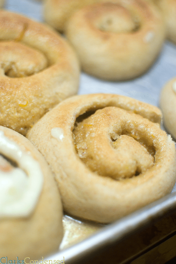 These wheat orange rolls are chewy on the outside, and  soft on the inside,  with a sweet and delicate orange flavor through the dough, filling, and frosting. Perfect for brunch or breakfast, any time of year. 