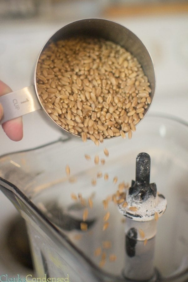Are you wanting to grind your own flour, but don't have a grain mill? No need to worry...you can use a blender! Here's some quick tips on how to use a blender as a grain mill. 