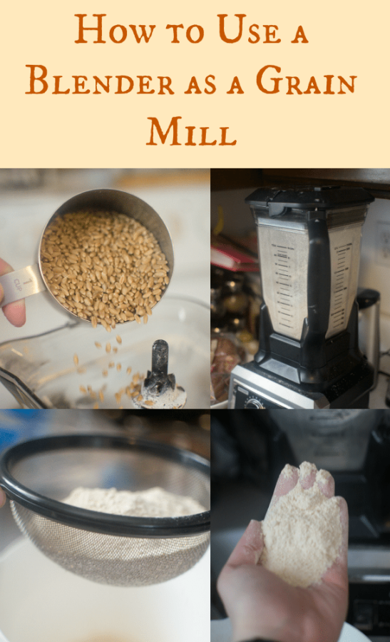 DIY Grain Mill How to Use a Blender to Make Flour
