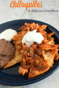 Chilaquiles with Shredded Chicken: Include (Ingredients & Instructions)