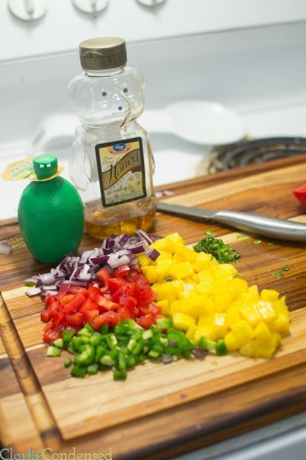 I am totally obsessed with this honey lime, mango salsa! It is SO good -- perfect combination of sweet and spicy, tastes great on chips, fish, or chicken, and PERFECT for summer parties