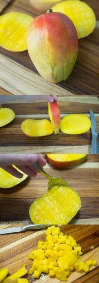 Mangoes are so yummy, but can be tricky to cut! This tutorial shows you exactly how to perfectly dice a mango. Mangoes are great for smoothies, desserts, and salsa!