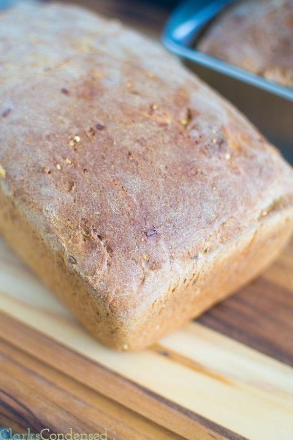 Hands down, the best homemade wheat sandwich bread I've ever made. It also has multigrains added, and is SO GOOD. 