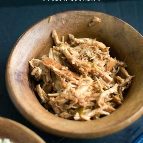 Bajio Shredded Chicken