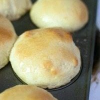 Quick Honey Dinner Rolls {{Less than One Hour!}}