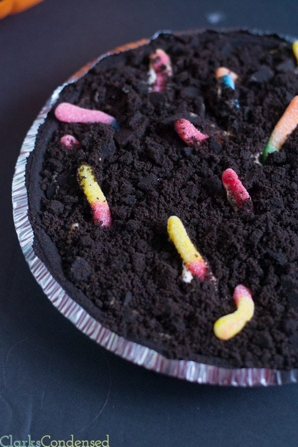 pie-shake-and-dirt-and-worms-19